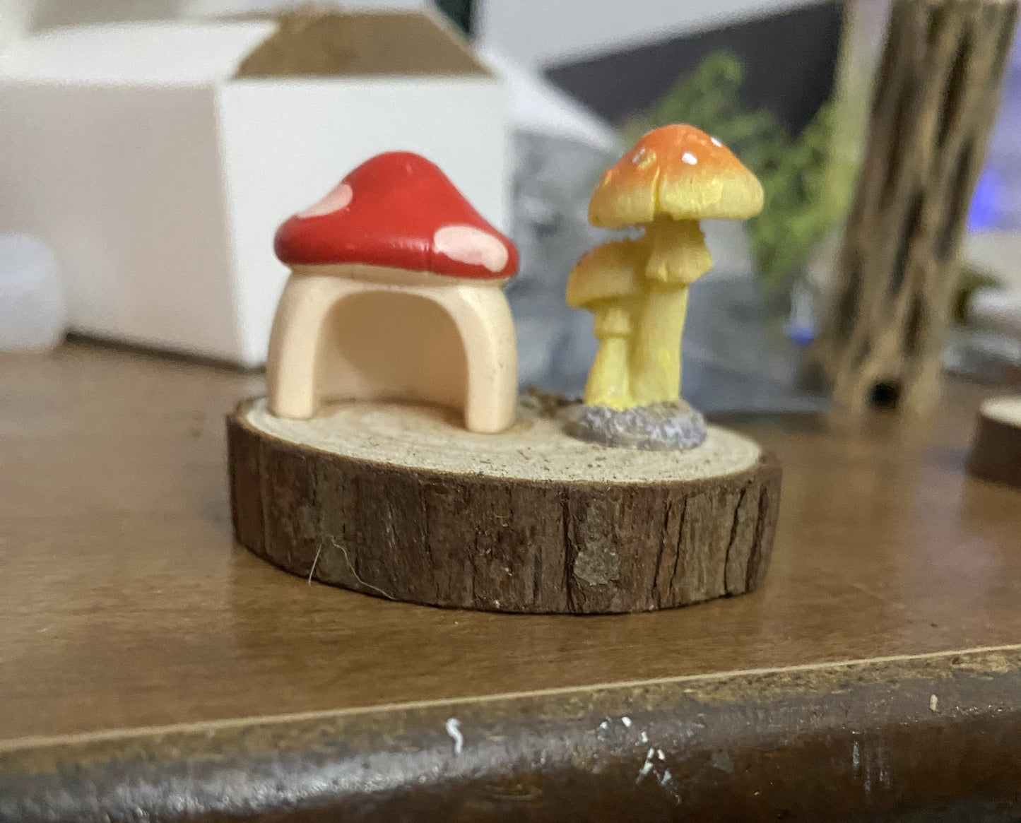 Mushroom Hide - Small Ledge/Hide for Spiders and Other Invertebrates