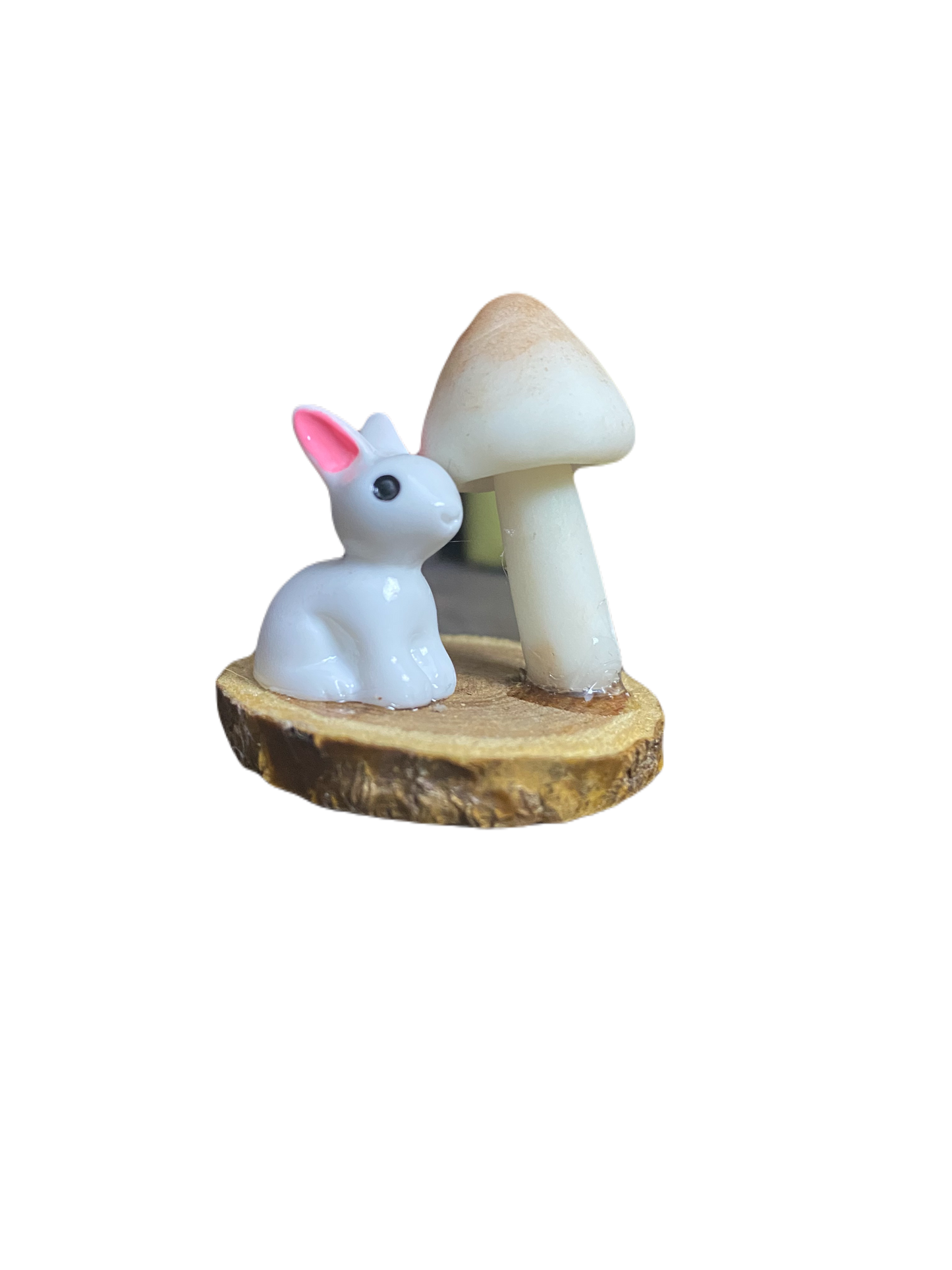 Bunny - Small Ledge for Spiders and Other Invertebrates