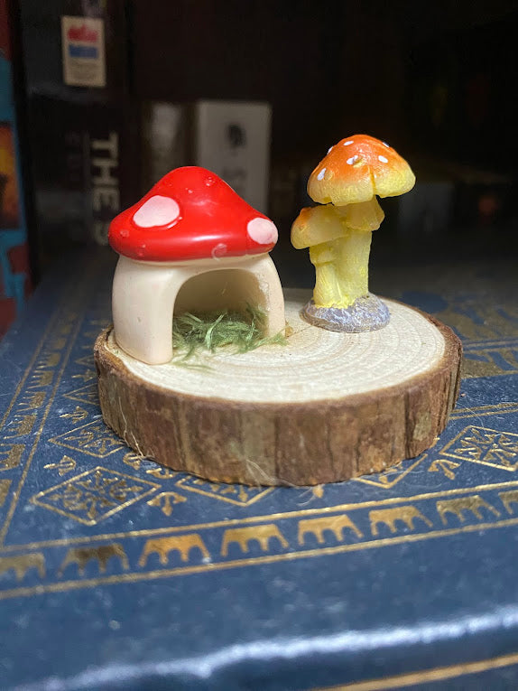 Mushroom Hide - Small Ledge/Hide for Spiders and Other Invertebrates