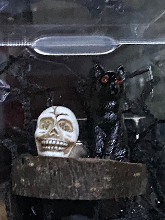 Cat and Skull - Small Ledge for Spiders and Other invertebrates