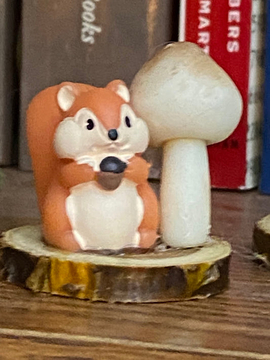 Chimpmunk/Squirrel - Small Ledge for Spiders and Other Invertebrates